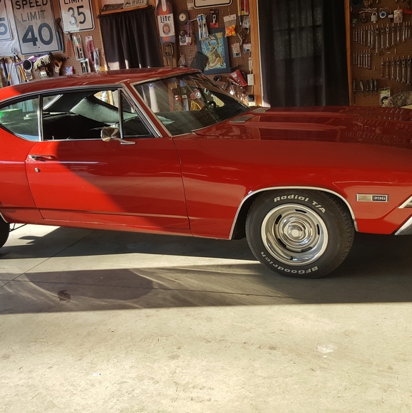 Meet your Posher, Phil lee - Picture 1 of 1